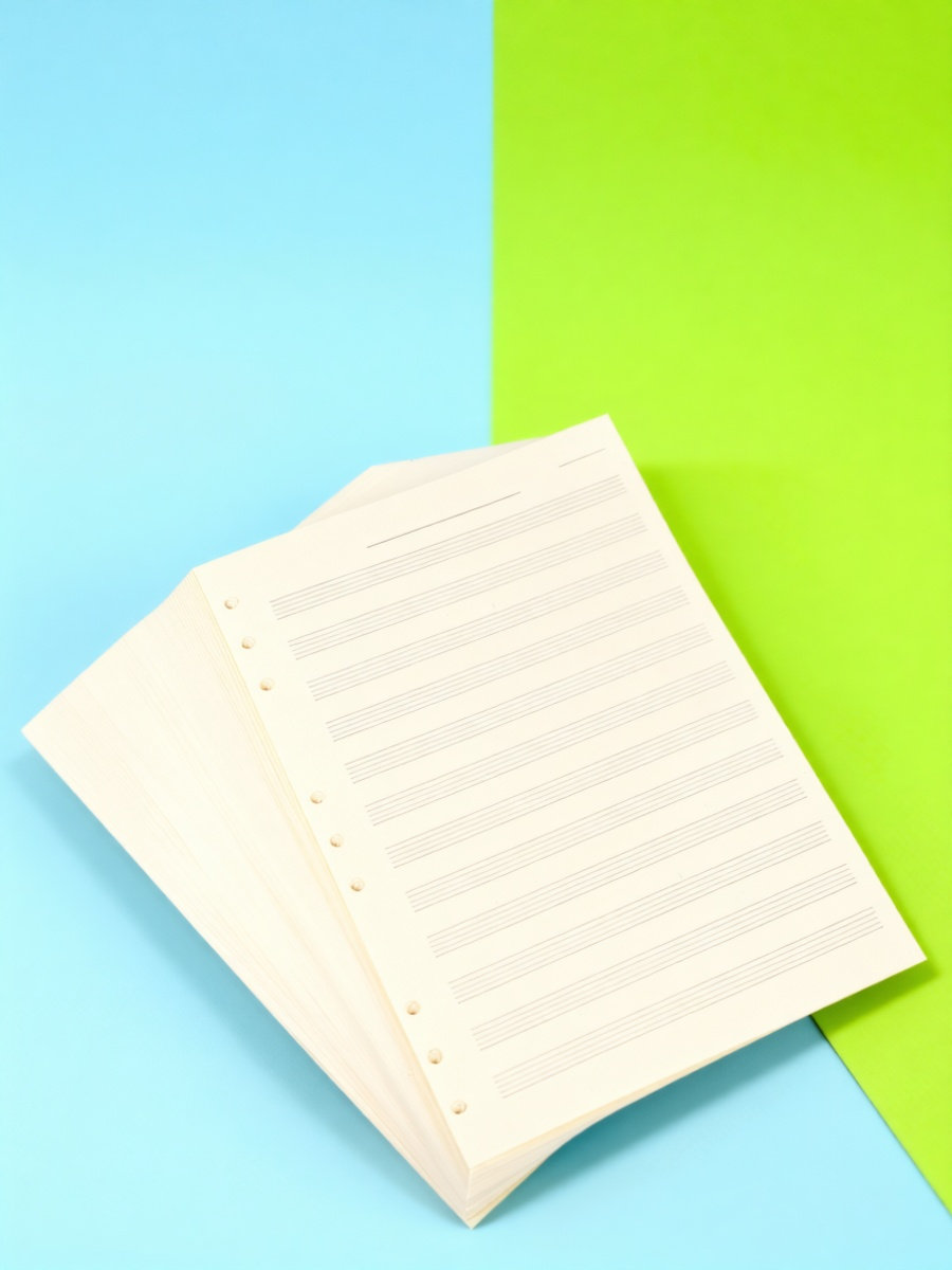 100 feuilles de papier pour ma - Blank Sheet Music Notebook avis et prix